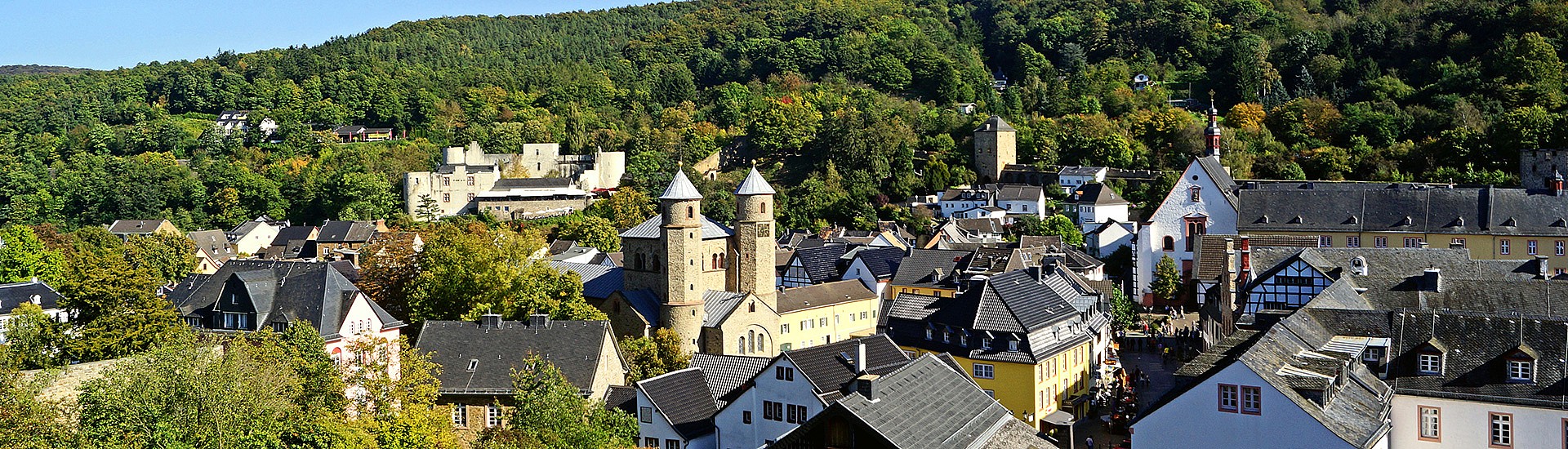 Symboldbild: Bad Münstereifel - Strauch Service | Ihre Service-Profis für Containerdienste, Transporte, Grünabfälle, Kamin- und Brennholz